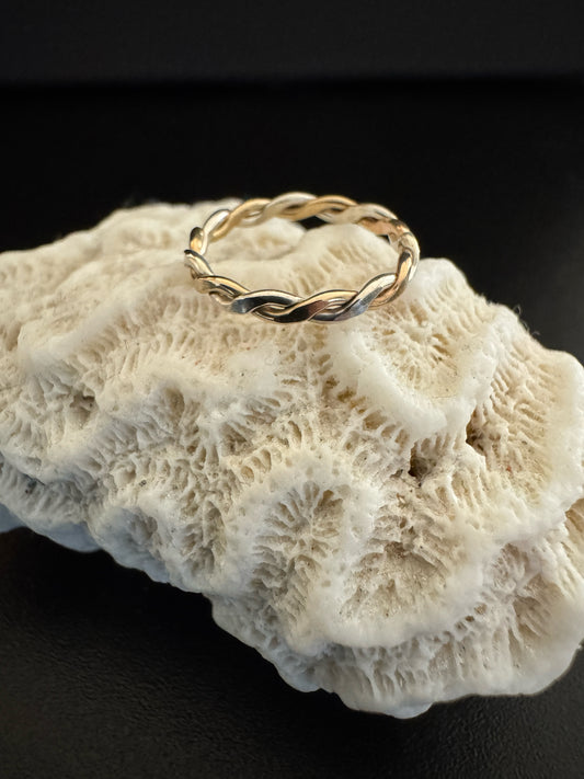 Gold and Silver Braid